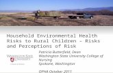 Household Environmental Health Risks to Rural Children – Risks and Perceptions of Risk Patricia Butterfield, Dean Washington State University College of.