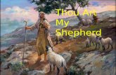 Thou Art My Shepherd. You Lead Me to Higher Ground.