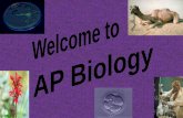 Welcome to AP Biology We will meet every B Day – 6 th hour pdunning@dps61.org pdunning@dps61.org HensonStables@gmail.com Good way to contact me – by.