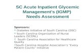 SC Acute Inpatient Glycemic Management’s (IGMP) Needs Assessment Sponsors:  Diabetes Initiative of South Carolina (DSC)  South Carolina Organization.