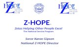 Z-HOPE  Zetas Helping Other People Excel Z-HOPE  Zetas Helping Other People Excel The National Service Program Soror Karen Gipson National Z-HOPE Director.