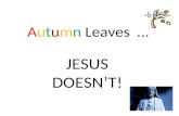 Autumn Leaves … JESUS DOESN’T!. The Church Is Born Oct 09 GIFT New Testament: Stories, Teachings & Letters from the Gospels, Acts of the Apostles & Epistles.