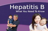 Hepatitis B What You Need To Know. What is the Liver?What is Hepatitis B?TransmissionGlobal/Local Impact Hepatitis B and AA & NHOPIs Seattle-King County.