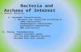 I. Domain: Bacteria A. Taxonomic Classification 1. Bacteria are classified according to rRNA similarities morphological similarities biochemical similarities.