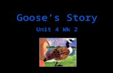Goose’s Story Unit 4 Wk 2. Wider: larger from side to side, broader adjective A desk is wider than a book. What is wider than your desk?