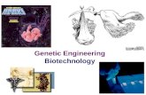 2006-2007 Genetic Engineering Biotechnology (c) define the term recombinant DNA; (d) explain that genetic engineering involves the extraction of genes.