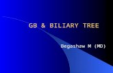 GB & BILIARY TREE Begashaw M (MD). Gall bladder pear shaped organ of 7.5 – 12.5 cm length & capacity of 50cc Parts-Fundus,Body & Neck cystic duct - joins.