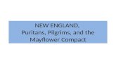 NEW ENGLAND, Puritans, Pilgrims, and the Mayflower Compact.