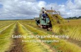 Lasting -vs- Organic Farming from a Dutch perspective.