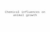 Chemical influences on animal growth. Lead poisoning Inhibits the action of some enzyme, e.g. catalase Reduces plant growth Causes learning difficulties.