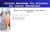 Virtual Workshop for Alliance for Cancer Prevention Endocrine Disrupters and Human Health Professor Susan Jobling Institute for the Environment Brunel.