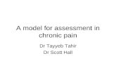 A model for assessment in chronic pain Dr Tayyeb Tahir Dr Scott Hall.