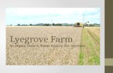 Lyegrove Farm An Organic Dairy & Arable Farm In The Cotswolds.