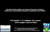 The effect of body condition score change 15 days prior to calving on lactation curve and production parameters in grazing dairy cows in Ireland M.R. Sheehy*
