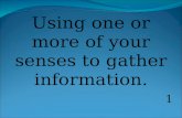 1 Using one or more of your senses to gather information.
