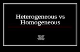 Heterogeneous vs Homogeneous Simone Young Ajoke Adigun Janice Lee Beverly Raynor Trevor Fockler.