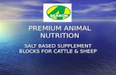 SALT BASED SUPPLEMENT BLOCKS FOR CATTLE & SHEEP PREMIUM ANIMAL NUTRITION.