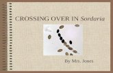 CROSSING OVER IN Sordaria By Mrs. Jones. MAIN MENU Intro to the fungi Sordaria Life CycleSordaria Life Cycle Structures of SordariaStructures of Sordaria.