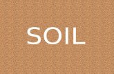 Physical elements {TILTH} Physical elements {TILTH} – e.g. sand, silt, clay, organic material and aggregates (see SOIL {1}) Living elements (other than.