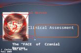 Clinical Assessment The “FACE” of Cranial Nerves J Carley MSN, MA, CNE Fall 2009 1 22 33 44 5 66 8 8 9 10 12.