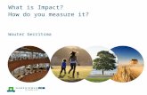 What is Impact? How do you measure it? Wouter Gerritsma.