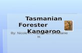 Tasmanian Forester Kangaroo By: Nicole K., Rachel B., & Melanie H.