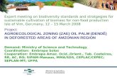 Project: AGROECOLOGICAL ZONING (ZAE) OIL PALM (DENDÊ) IN DEFORESTED AREAS OF AMZONIAN REGION Demand: Ministry of Science and Technology Coordination: Embrapa.