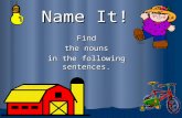 Name It! Find the nouns in the following sentences.