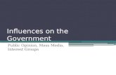 Influences on the Government Public Opinion, Mass Media, Interest Groups.