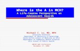 Where is the A in MCH? A Life-Course Perspective on Adolescent Health Michael C. Lu, MD, MPH Associate Professor Department of Obstetrics & Gynecology.