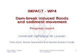 Mo-i-Rana - September 2002 Dam-break floods and sediment movement 1 IMPACT - WP4 Dam-break induced floods and sediment movement IMPACT - WP4 Dam-break.