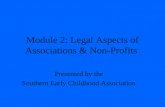 Module 2: Legal Aspects of Associations & Non-Profits Presented by the Southern Early Childhood Association.