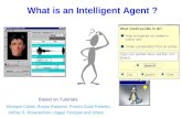 What is an Intelligent Agent ? Based on Tutorials: Monique Calisti, Roope Raisamo, Franco Guidi Polanko, Jeffrey S. Rosenschein, Vagan Terziyan and others.
