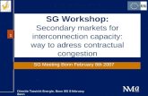 Directie Toezicht Energie, Bonn WS 8 february Bonn 1 SG Workshop: Secondary markets for interconnection capacity: way to adress contractual congestion.