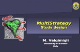 M. Valgimigli University of Ferrara Italy MultiStrategy Study design MultiStrategy Study design.