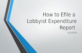 How to Efile a Lobbyist Expenditure Report 01/1/2014.