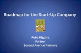 Roadmap for the Start-Up Company Pete Higgins Partner Second Avenue Partners.