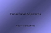 Possessive Adjectives Kaylor Productions. Possesive Adjectives in English SingularPlural 1 st myour 2 nd youryour 3 rd his/hertheir.