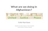 What are we doing in Afghanistan? Cole Harrison thanks to Steve Burns, Tom Hayden and Connie Frisbee Houde.