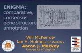 ENIGMA : comparative, consensus gene structure annotation Will McKerrow Ian H. Holmes, UC Berkeley Aaron J. Mackey University of Virginia.