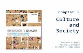 Chapter 3 Culture and Society Anthony Giddens Mitchell Duneier Richard P. Appelbaum.