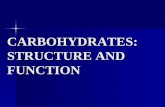CARBOHYDRATES: STRUCTURE AND FUNCTION. Objectives To understand the structure of carbohydrates of physiological significance To understand the structure.