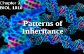 Patterns of Inheritance Chapter 9 BIOL 1010. GENETICS: the scientific study of heredity Genome: complete set of an organism’s gene Gene: unit of heredity.