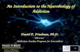 David P. Friedman, Ph.D. Director Addiction Studies Program for Journalists An Introduction to the Neurobiology of Addiction.