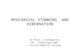 MYOCARDIAL STUNNING AND HIBERNATION Dr Binjo J Vazhappilly. SR, Cardiology Dept. Calicut Medical College.