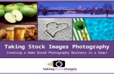 Creating a Home Based Photography Business in a Snap! Taking Stock Images Photography.