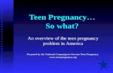 Teen Pregnancy… So what? An overview of the teen pregnancy problem in America Prepared by the National Campaign to Prevent Teen Pregnancy .