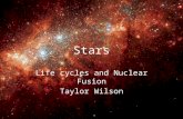 Stars Life cycles and Nuclear Fusion Taylor Wilson.