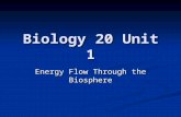 Biology 20 Unit 1 Energy Flow Through the Biosphere.