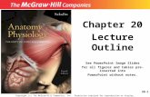 20-1 Chapter 20 Lecture Outline See PowerPoint Image Slides for all figures and tables pre-inserted into PowerPoint without notes. Copyright (c) The McGraw-Hill.